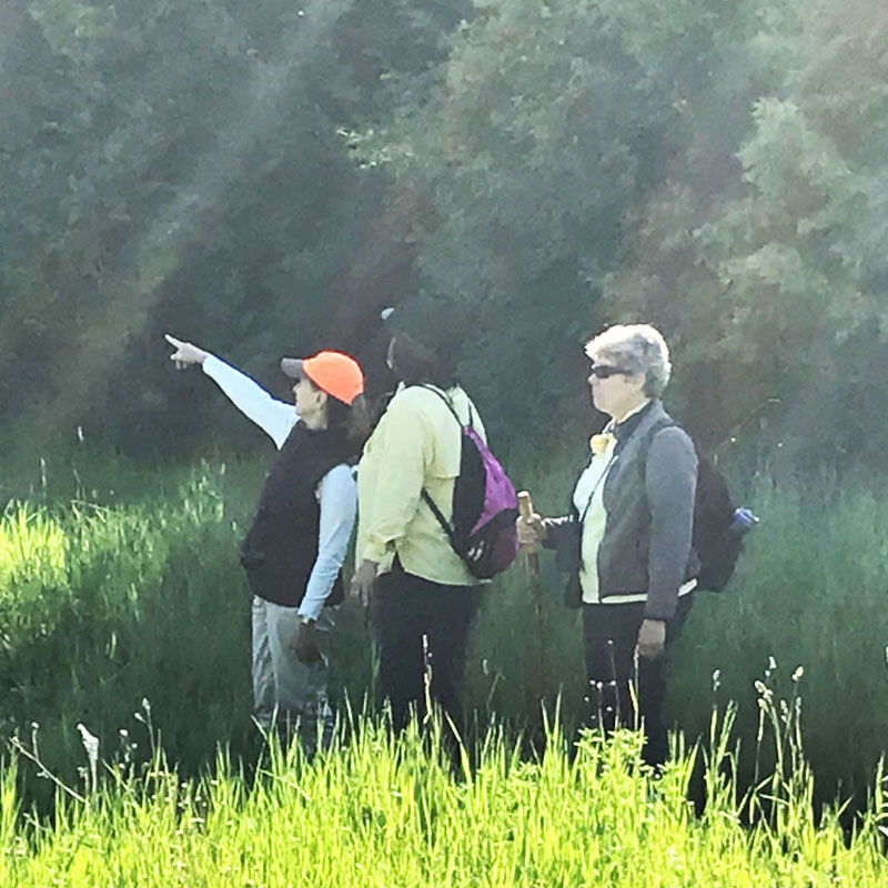 Early morning birding. Photo by Tony Pietricola