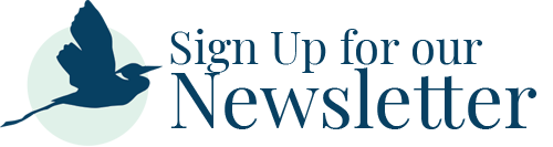 Subscribe to Island Arts Newsletter